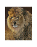 Power and Presence - African Lion -  Joni Johnson-Godsy - McGaw Graphics