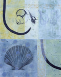 Pacifica -  Ariel Jolie - McGaw Graphics