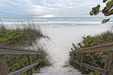 Let‚Äôs Hit the Waves! -  Mary Lou Johnson - McGaw Graphics