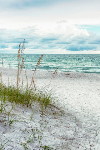 Beach Secrets -  Mary Lou Johnson - McGaw Graphics