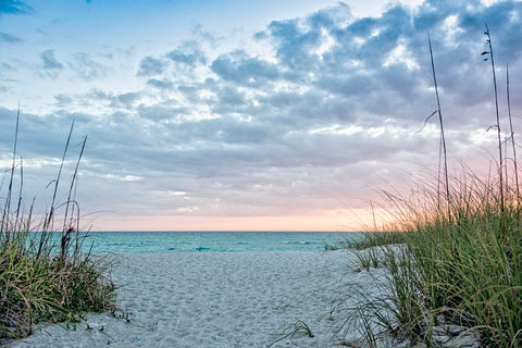 Entrance to the Sea -  Mary Lou Johnson - McGaw Graphics