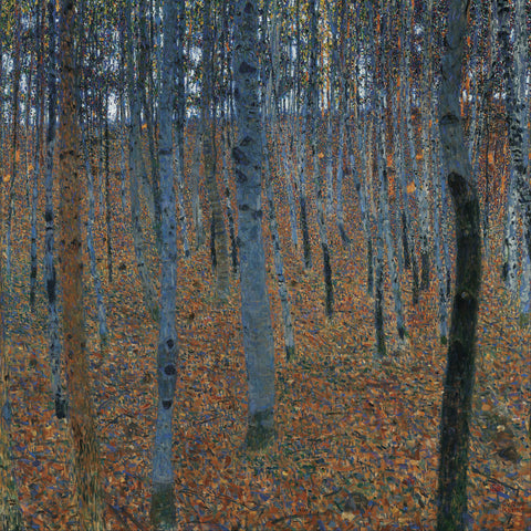 Beech Grove I, 1902 -  Gustav Klimt - McGaw Graphics