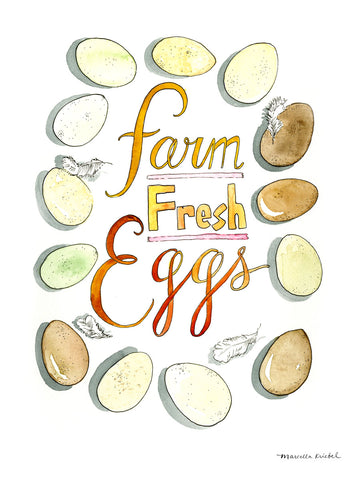 Farm Fresh Eggs -  Marcella Kriebel - McGaw Graphics