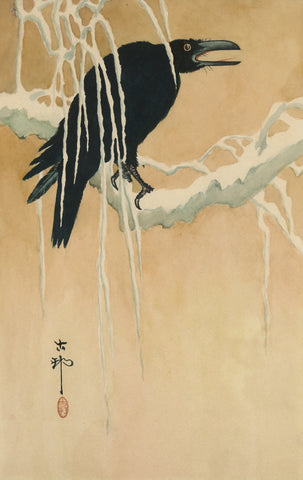 Blackbird Perched on a Snow-Covered Branch -  Ikeda Koson - McGaw Graphics