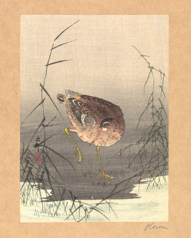 Snipe in Marsh -  Ohara Koson - McGaw Graphics