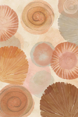 Terracotta Shells II -  Flora Kouta - McGaw Graphics