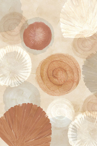 Terracotta Shells III -  Flora Kouta - McGaw Graphics