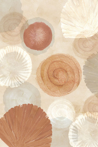 Terracotta Shells III -  Flora Kouta - McGaw Graphics
