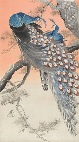 Two Peacocks on Tree Branch -  Ohara Koson - McGaw Graphics