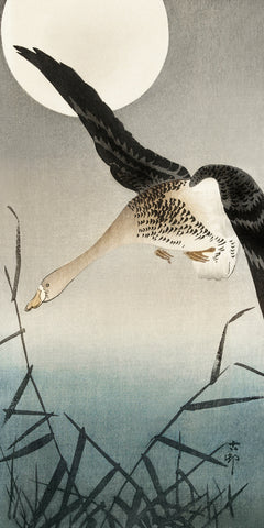White-fronted Goose at Full Moon -  Ohara Koson - McGaw Graphics