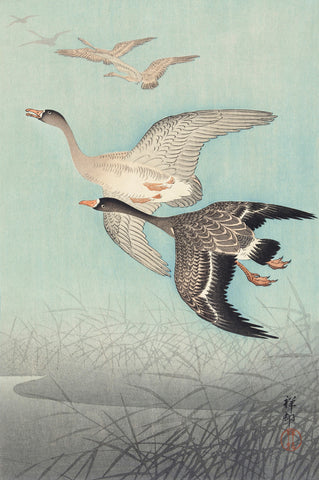 Great Geese in Flight -  Ohara Koson - McGaw Graphics