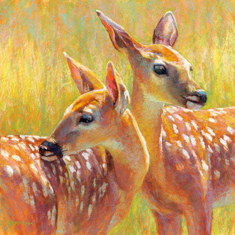 Twin Fawns II -  Rita Kirkman - McGaw Graphics