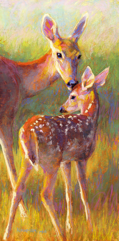 Doe and Fawn -  Rita Kirkman - McGaw Graphics