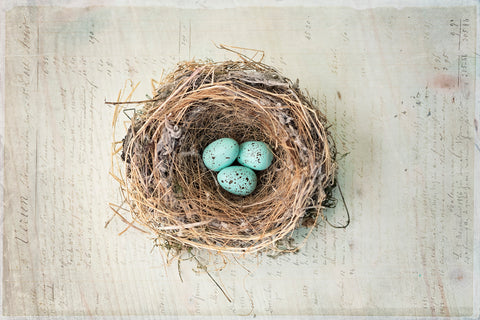 Robin’s Eggs -  Elizabeth Kay - McGaw Graphics