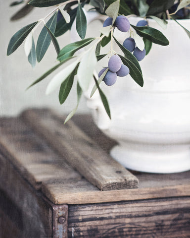 Olives in Ironstone -  Elizabeth Kay - McGaw Graphics