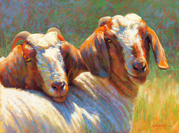 Bored Boers | McGaw Graphics
