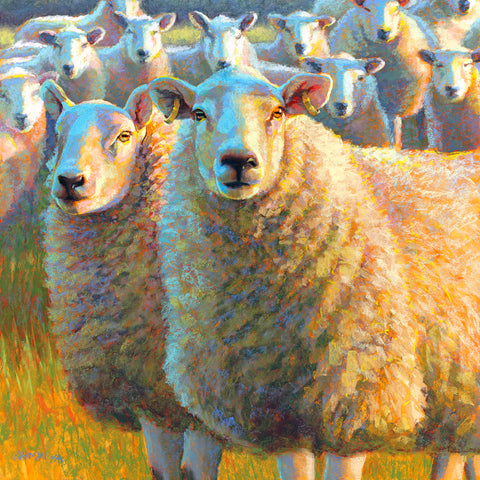Pirate Sheep -  Rita Kirkman - McGaw Graphics