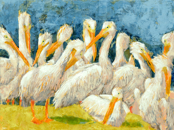 Primping and Preening | McGaw Graphics