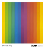 Spectrum IV -  Ellsworth Kelly - McGaw Graphics