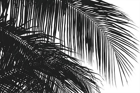 Palms 3 -  Jamie Kingham - McGaw Graphics