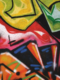 Colorful Graffiti (detail -  Jenny Kraft - McGaw Graphics
