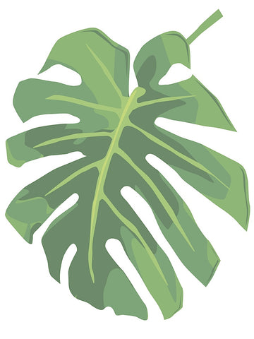 Philodendron 1 -  Jenny Kraft - McGaw Graphics
