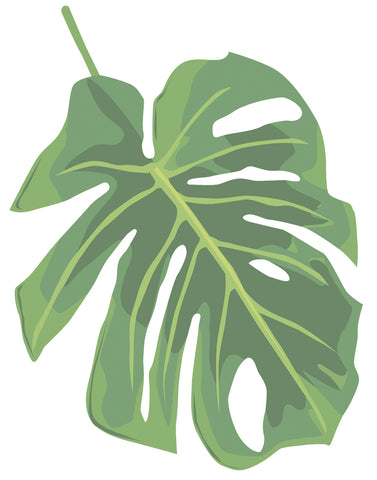 Philodendron 2 -  Jenny Kraft - McGaw Graphics