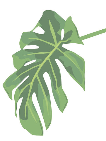Philodendron 3 -  Jenny Kraft - McGaw Graphics