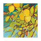 The Lemons Above -  Jennifer Lommers - McGaw Graphics