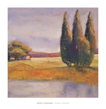 Sunset Cypress -  Adina Langford - McGaw Graphics