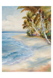 Tropical Retreat -  Marc Lucien - McGaw Graphics