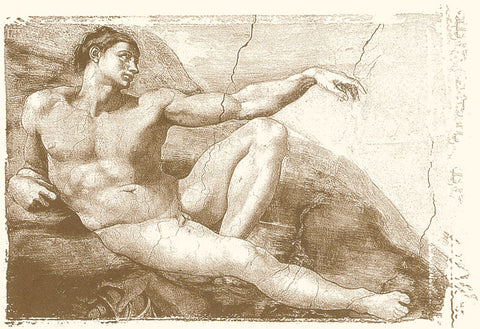 Creation of Adam (Adam detail) -  Michelangelo - McGaw Graphics