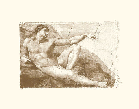 Creation of Adam (Adam detail) -  Michelangelo - McGaw Graphics