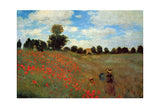 Wild Poppies -  Claude Monet - McGaw Graphics