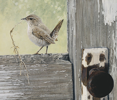 House Wren -  Jan Martin McGuire - McGaw Graphics