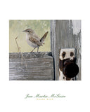 House Wren -  Jan Martin McGuire - McGaw Graphics