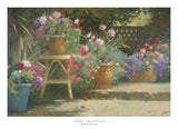 Potted Flowers -  Allan Myndzak - McGaw Graphics