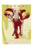 Safari Africa -  Kem McNair - McGaw Graphics
