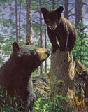 Stump Jumper -  Bruce Miller - McGaw Graphics