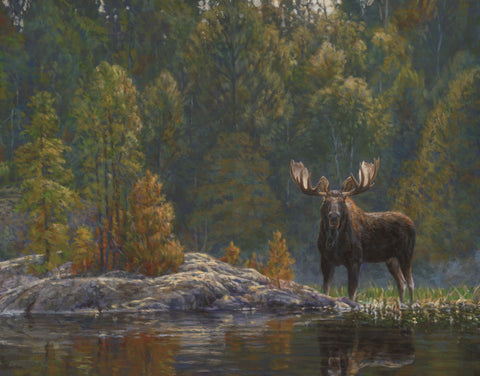 North Country Moose -  Bruce Miller - McGaw Graphics