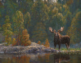 North Country Moose -  Bruce Miller - McGaw Graphics