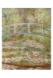 Water Lily Pond, 1899 -  Claude Monet - McGaw Graphics