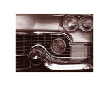 Grille -  John Maggiotto - McGaw Graphics