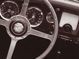 Steering Wheel -  John Maggiotto - McGaw Graphics