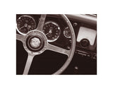 Steering Wheel -  John Maggiotto - McGaw Graphics