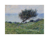 Sea Coast at Trouville -  Claude Monet - McGaw Graphics