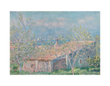 Gardener's House at Antibes, 1888 -  Claude Monet - McGaw Graphics