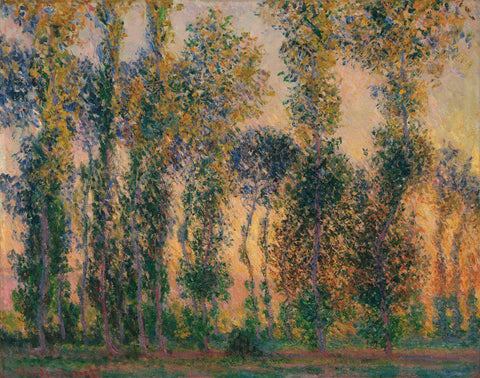 Poplars at Giverny, Sunrise, 1888 -  Claude Monet - McGaw Graphics