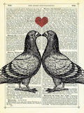 Pigeons in Love -  Marion McConaghie - McGaw Graphics