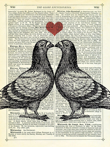 Pigeons in Love -  Marion McConaghie - McGaw Graphics